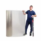 Прозорий шифер у рулоні армований безбарвний - 2 м