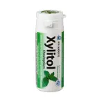 Жувальна гумка з ксилітолом Miradent Xylitol Chewing Gum Spearmint 30 шт