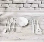 Набір для фарбування волосся 6в1 у сумочці NP-03 (Білий)