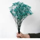 Стабілізована гіпсофіла, бірюзова, W13