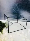 Флораріум Куб зі скошеними кутами 10 см