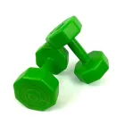Гантелі для фітнесу Neo Sport нерозбірна композитна 2 шт по 2 кг Зелений (NS2KGХ2-2)