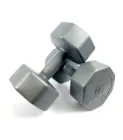 Гантелі для фітнесу Neo Sport нерозбірна композитна 2 шт по 4 кг Сірий (NS2KGХ4-2)