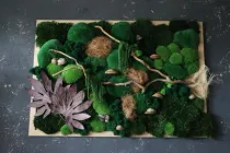 Картина-панно з мохом Forest Harmony 80cm х 70cm