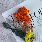 Помаранчеві сухі квіти для декору