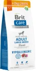 Промо набір сухий корм Brit Care Dog Hypoallergenic Adult Large Breed для собак великих порід, гіпоалергенний з ягнятим 12+2 кг (8595602567317)