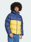 Пуховик чоловічий Originals Down Regen Adic