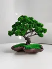 Бонсай зі стабілізованими рослинами Дерево спокою 20х20 см
