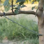 Фіксатор для гілок, 10 напрямних гачків довжиною 26 х 5 см