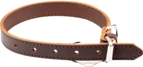 Нашийник Agility з ремінної шкіри 20 мм, 350-450 мм Коричневий (4823101317046)