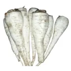 Петрушка коріння свіже соковите, свіжого врожаю, 1 кг