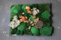 Картина зі стабілізованим мохом, евкаліптом та лотосом Генезис 50см х 40см