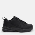 Кросівки Air Monarch Iv