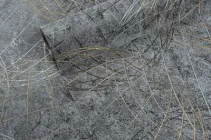 Флізелінові шпалери спінений вініл LS Vinil Sphere ДХС-1584/5 чорний (1,06х10,05м)