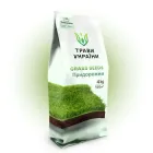 Газон для придорожнього озеленення 4 кг Трави України