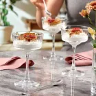 Набір келихів для шампанського Pasabahce Elysia PS-440436-4 260 мл 4 шт