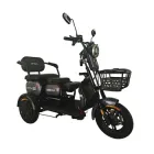 Електротрайк FADA OLDi MAX 1100W Фіолетовий