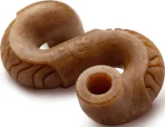 Іграшка Benebone Tripe Bone Beef міцна для гризіння Черево зі смаком яловичого рубця розмір LARGE для собак вагою до 40 кг (530300/810054210405)