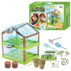 Набір з вирощування рослин, ботанічні експерименти з теплицею 18415 "4FUN Game Club"