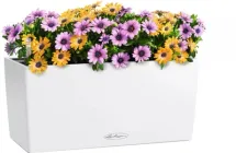 Вазон Lechuza Balconera Color 40 40 x 19 x 19 см Білий (15479-4008789154798)