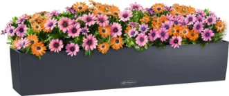 Вазон Lechuza Balconera Color 100 99 x 19 x 19 см Сланцево-сірий (15918-4008789159182)