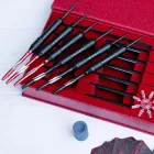 Дротики для дартс «Champion set» 25г (6 шт.+аксесуари)