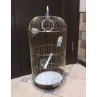 Клітка для птахів A309D ВИСОКА золото, 33х67см