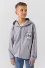 Толстовка з принтом для хлопчика ALG 425611 176 см Сірий