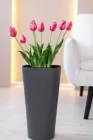 Вазон Крокус ММ 41 з вставкою Антрацит (ТВ000032112)
