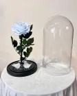 Роза в колбі небесна подарунок мамі 31*17 см L