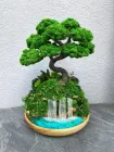 Бонсай над водоспадом зі стабілізованими рослинами 27х21 см. (4783)