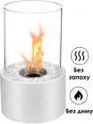 Біокамін настільний 16х27см природне еко полум'я без диму та запаху портативний біоетаноловий без вентиляції для дому та саду, тераси BIOHEAT