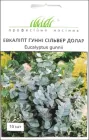 Насіння Евкаліпт гунні Сільвер Долар, 10 шт (Benary)