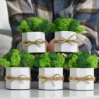 Набір з 5-ти білих кашпо Jungle зі стабілізованим мохом Ягель (зелений, салатовий)