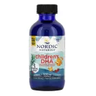 Риб'ячий жир для дітей Nordic Naturals Children's DHA від 1 до 6 років 119 мл