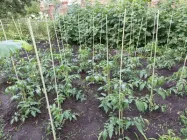 Композитна склопластикова арматура UkrArmPlast 12 мм, пачка 25 прутків по 2 метри