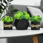 Комплект з 3х чорних кашпо зі стабілізованим мохом Ягель (зелений, слатовий)