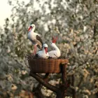 Комплект фігур Сім'я садових лелек № 141 у гнізді з ротангу, садово паркові скульптури лелеки