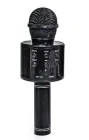 Бездротовий караоке мікрофон WSTER WS-858 Black (2074330846)