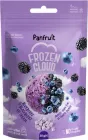 Морозиво сублімоване Panfruit Чорниця-Ожина 20 г (4820195681336)
