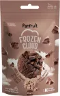 Морозиво сублімоване Panfruit Супер шоколад 20 г (4820195681343)