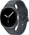 Смарт-годинник Samsung Galaxy Watch 8 40mm Gray (SM-L320NDAASEK)