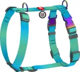 Шлея для собак анатомічна H-подібна WAUDOG Nylon Recycled з QR-паспортом, градієнт, S, Ш 15 мм, A 30-40, B 37-47 Блакитна (52862collar)