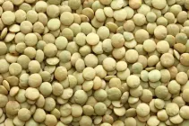 Сочевиця LoveShopee зелена 1 кг