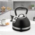 Чайник нержавеющий Maestro 1.8л черный (MR-1336-BLACK)