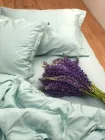 Комплект постільної білизни Cozy класичний м'ятний Для немовлят 90*120 см, простирадло 60*120*12 см на резинці