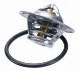 Термостат WAHLER (3141.87D)