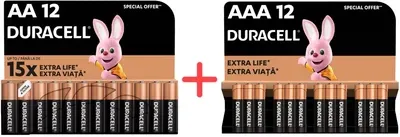 Набір Лужні батарейки Duracell AA (LR06) MN1500 12 шт + Лужні батарейки Duracell AAA (LR03) MN2400 12 шт (737055731649)