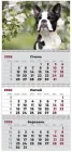 Календар настінний Axent Dogs на 3 пружинах квартальний на 2026 рік (8803-26-17-A)
