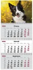 Календар настінний Axent Dogs на 3 пружинах квартальний на 2026 рік (8803-26-18-A)